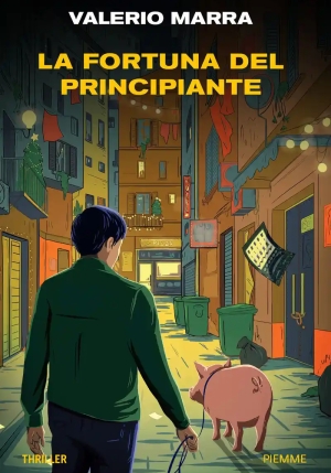 La Fortuna Del Principiante fronte