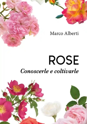 Rose fronte