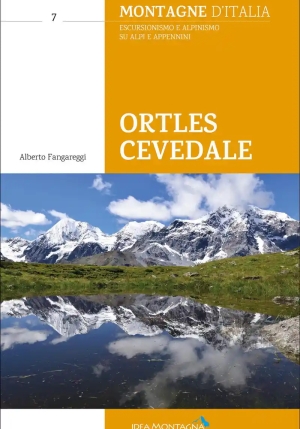 Ortles Cevedale fronte