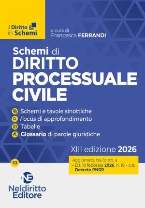 Schemi Diritto Processuale Civile 2026 fronte