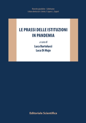Prassi Istituzioni In Pandemia fronte
