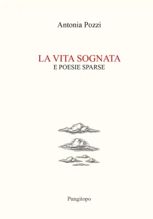 Vita Sognata (nike) fronte