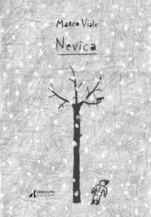 Nevica fronte