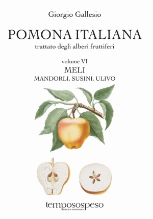 Pomona Italiana fronte