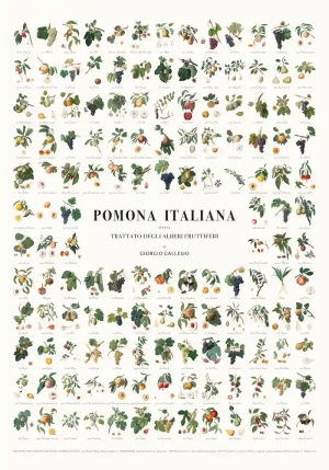 Manifesto Dei Frutti Della Pom fronte