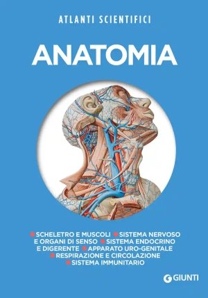 Anatomia fronte