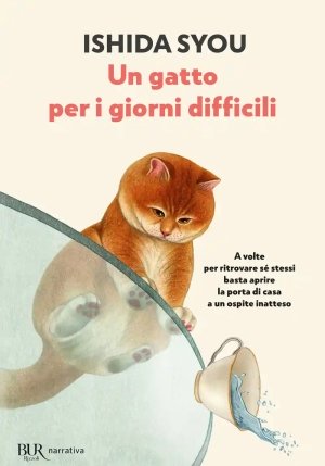 Gatto Per I Giorni Difficili (un) fronte