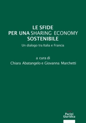 Sfide Per Sharing Economy Sostenibile fronte
