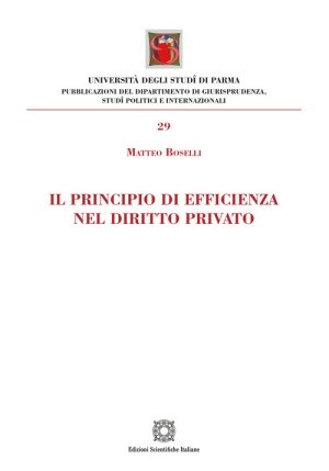 Principio Efficienza Diritto P fronte