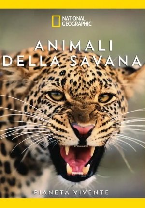 Animali Della Savana fronte