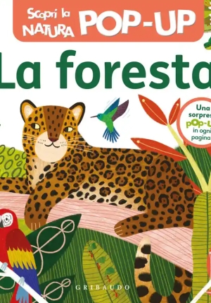 Foresta. Scopri La Natura Pop Up (la) fronte