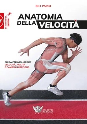 Anatomia Della Velocita' fronte