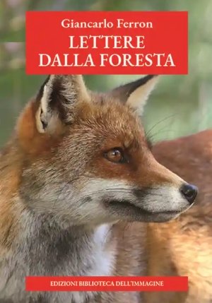 Lettere Dalla Foresta fronte