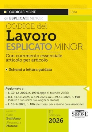 Codice Lavoro Esplicato Minor 3ed. 2026 fronte