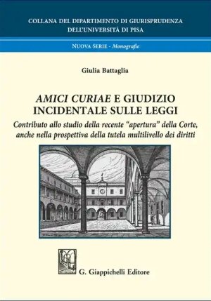 Amici Curiae Giudizio Incidentale Leggi fronte