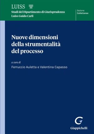 Nuove Dimensioni Strumentalita' Processo fronte