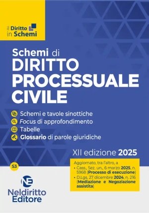 Schemi Diritto Processuale Civile 2025 fronte