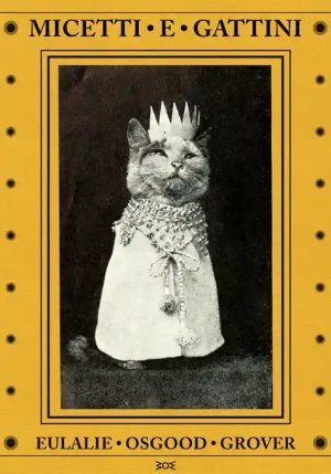 Micetti E Gattini fronte