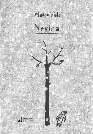 Nevica fronte