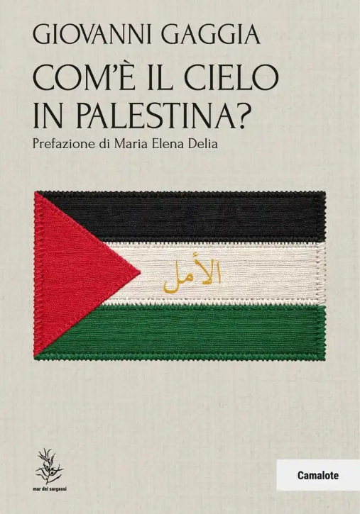 Immagine 0 di Com'e' Il Cielo In Palestina?