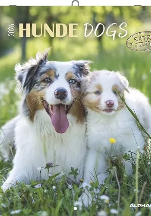 Immagine 0 di Calendario 2026 Dogs Cm 30x30