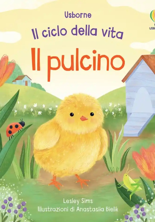 Immagine 0 di Pulcini Il Ciclo Della Vita