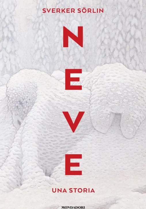 Immagine 0 di Neve
