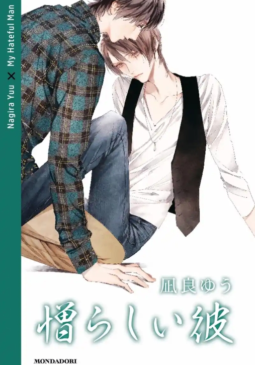 Immagine 0 di My Hateful Boy