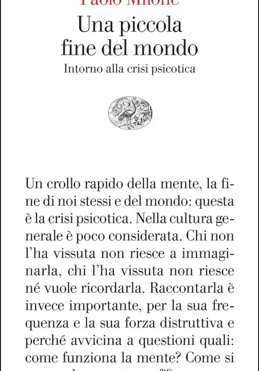 Immagine 0 di Crollo Rapido Della Mente (un)