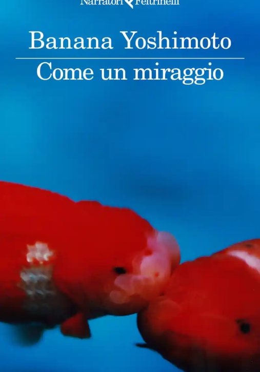 Immagine 0 di Come Un Miraggio