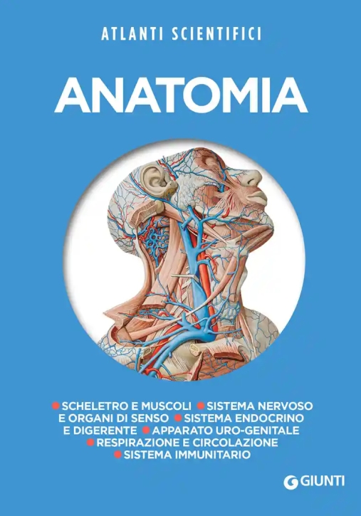 Immagine 0 di Anatomia