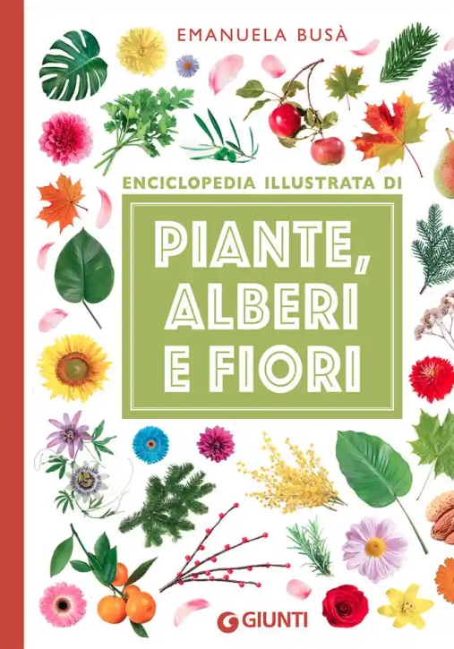 Immagine 0 di Enciclopedia Illustrata Di Piante, Alberi E Fiori