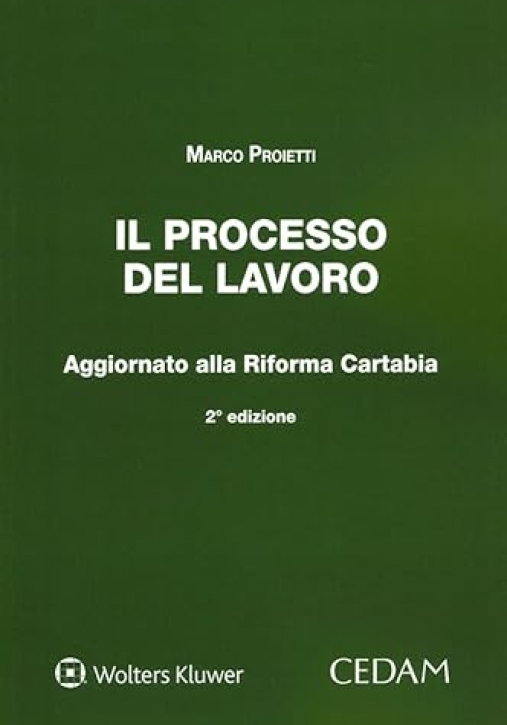 Immagine 0 di Processo Del Lavoro 2ed.