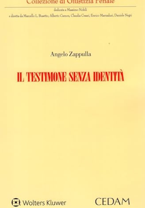 Immagine 0 di Testimone Senza Identita'