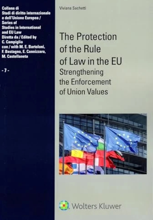 Immagine 0 di Protection Of The Rule Of Law