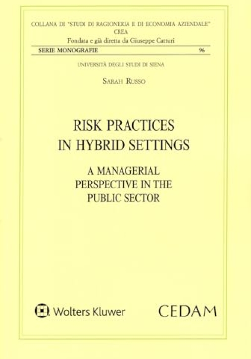 Immagine 0 di Risk Practices In Hibrid Settings