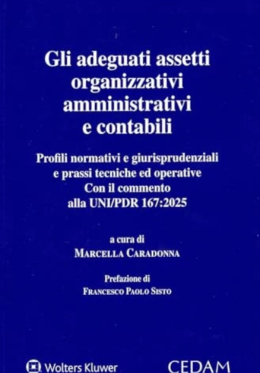 Immagine 0 di Adeguati Assetti Organizzativi