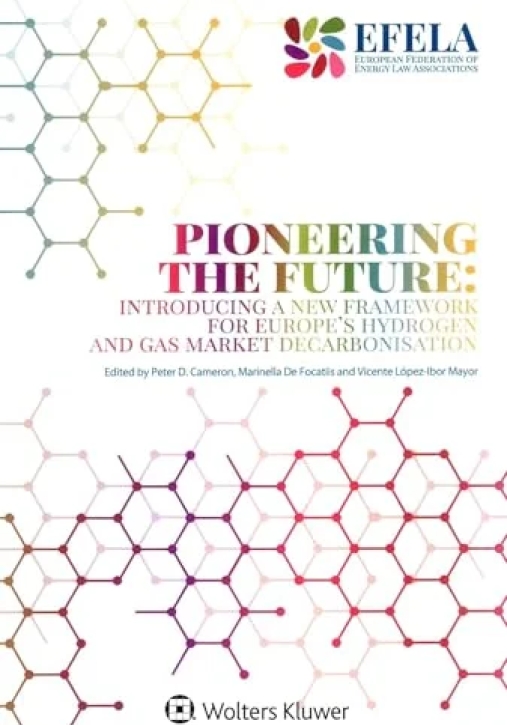 Immagine 0 di Pioneering The Future