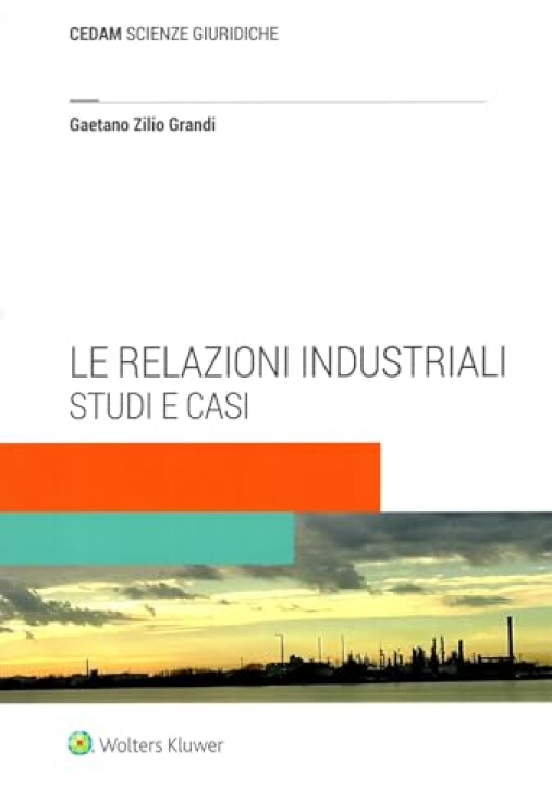 Immagine 0 di Relazioni Industriali Studi E Casi