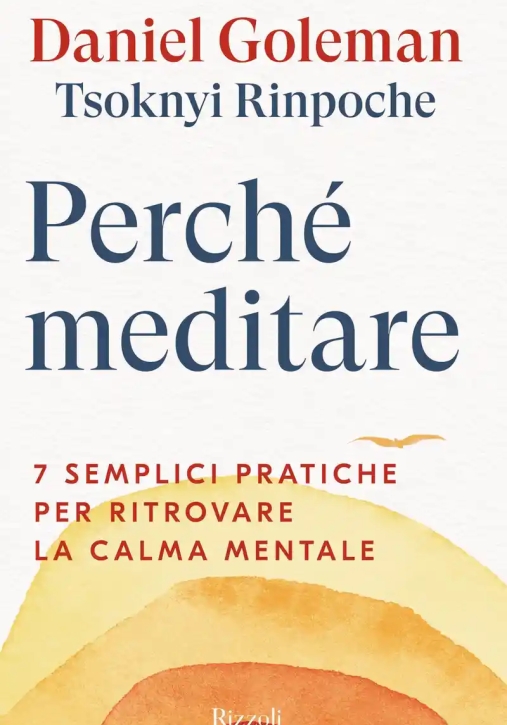 Immagine 0 di Perch? Meditare
