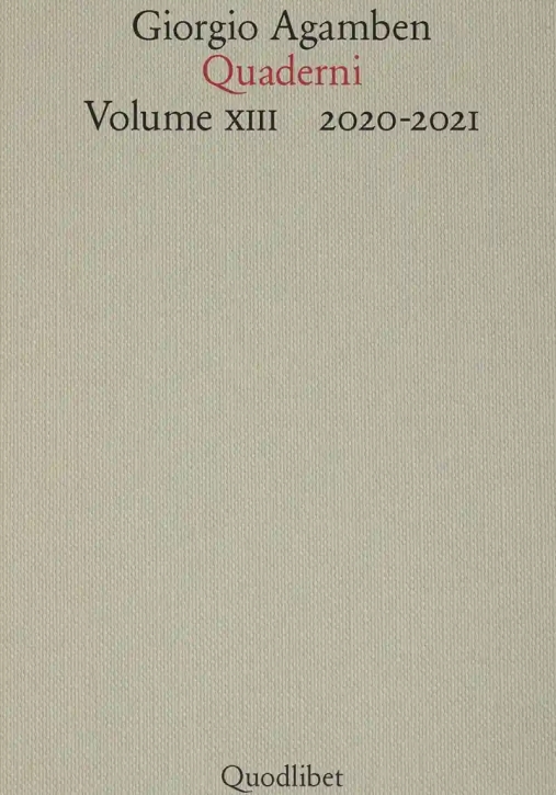 Immagine 0 di Quaderni. Vol. 13: 2020-2021