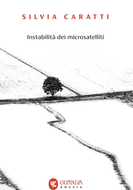 Immagine 0 di Instabilit? Dei Microsatelliti (l')
