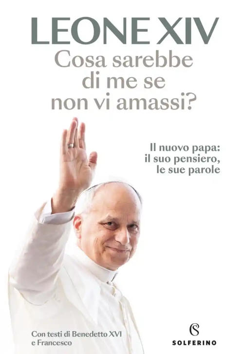 Immagine 0 di Cosa Sarebbe Di Me Se Non Vi A