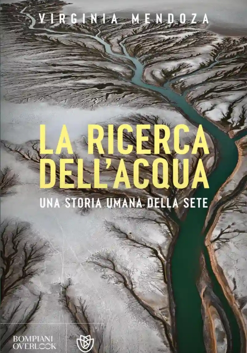 Immagine 0 di Ricerca Dell'acqua. Una Storia Umana Della Sete (la)