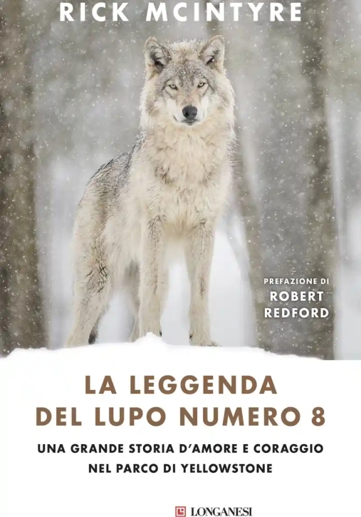 Immagine 0 di Leggenda Del Lupo Numero 8. Una Grande Storia D'amore E Coraggio Nel Parco Di Yellowstone (la)