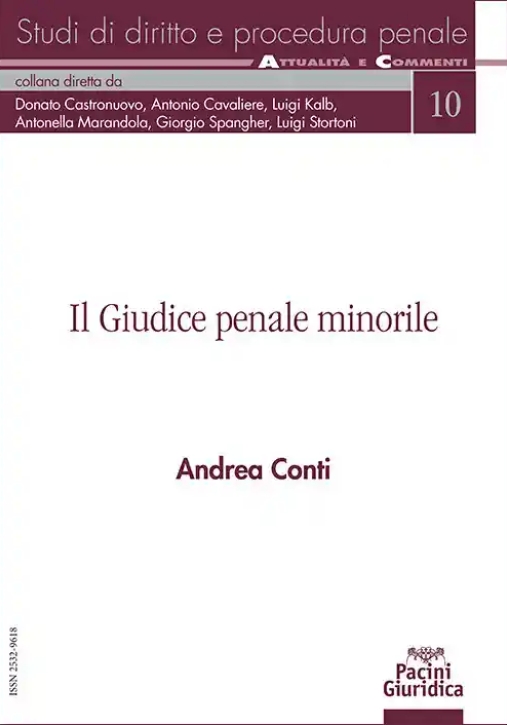 Immagine 0 di Giudice Penale Minorile