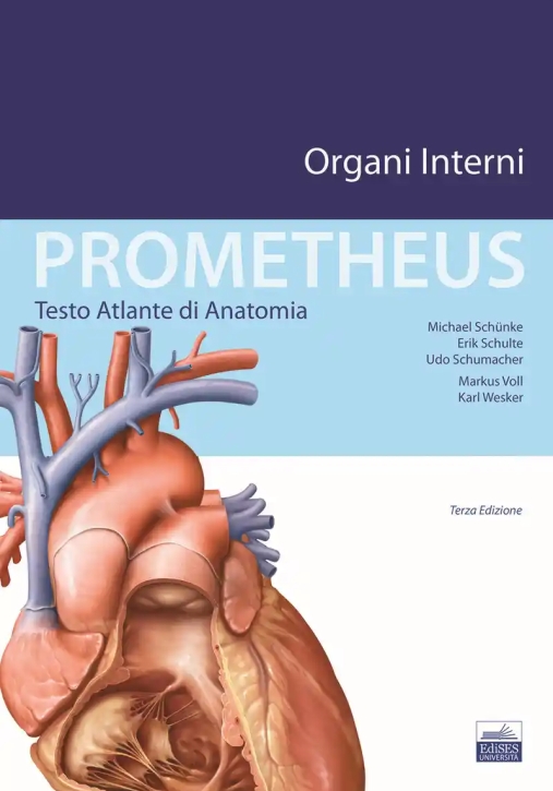 Immagine 0 di Prometheus Vol 2 Atlante Di Anatomia Organi Interni