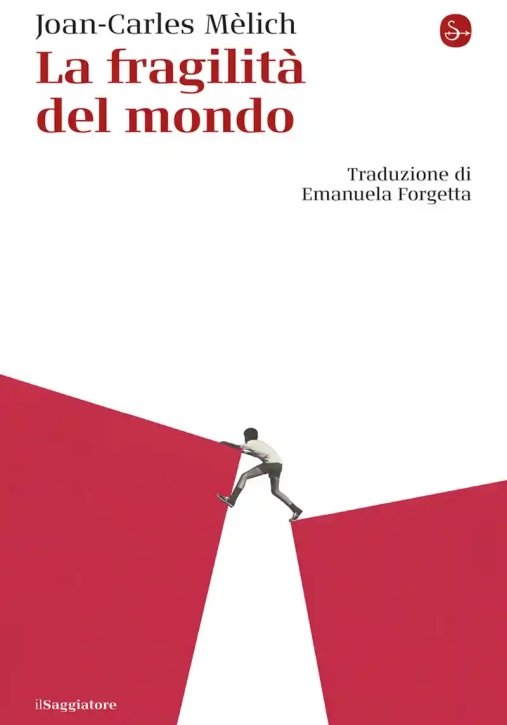 Immagine 0 di Fragilit? Del Mondo (la)