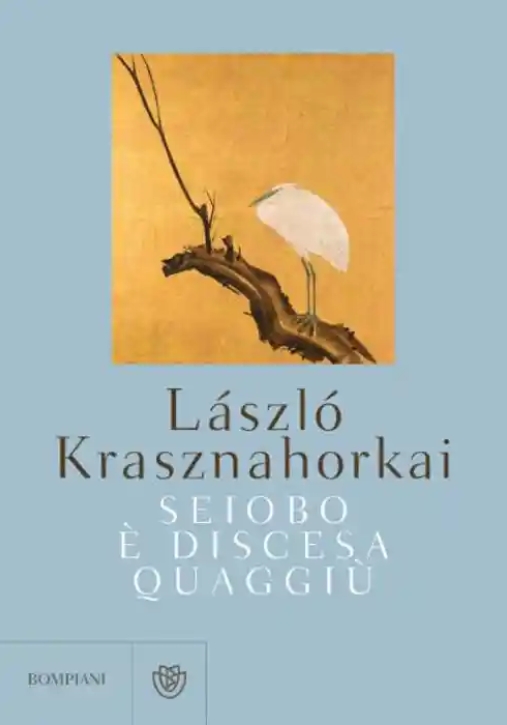 Immagine 0 di Seiobo ? Discesa Quaggi?