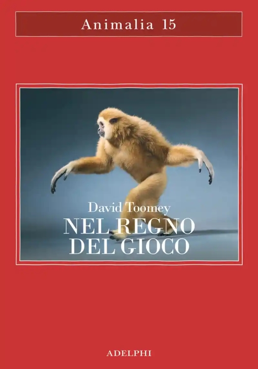 Immagine 0 di Regno Del Gioco (il)